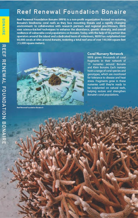 Reef Smart Guides Bonaire (Second Edition)