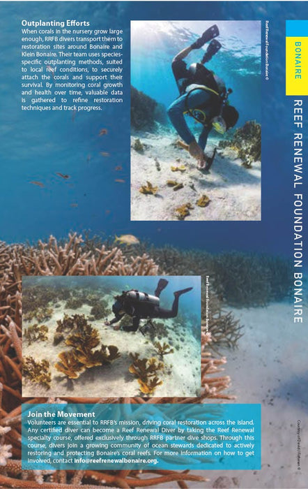 Reef Smart Guides Bonaire (Second Edition)