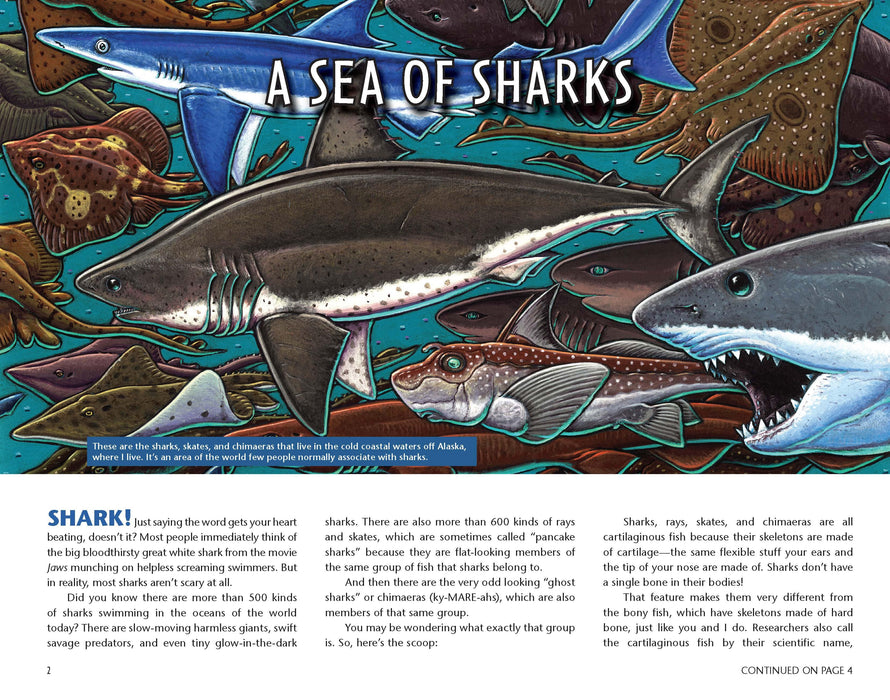 Sharkabet, 2nd Edition: A Sea of Sharks from A to Z