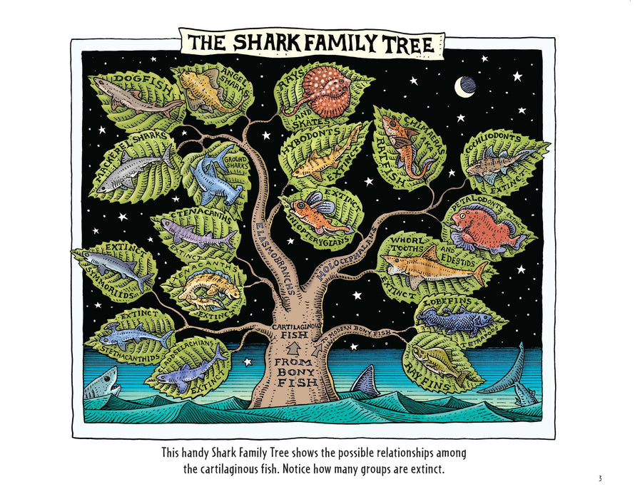 Sharkabet, 2nd Edition: A Sea of Sharks from A to Z
