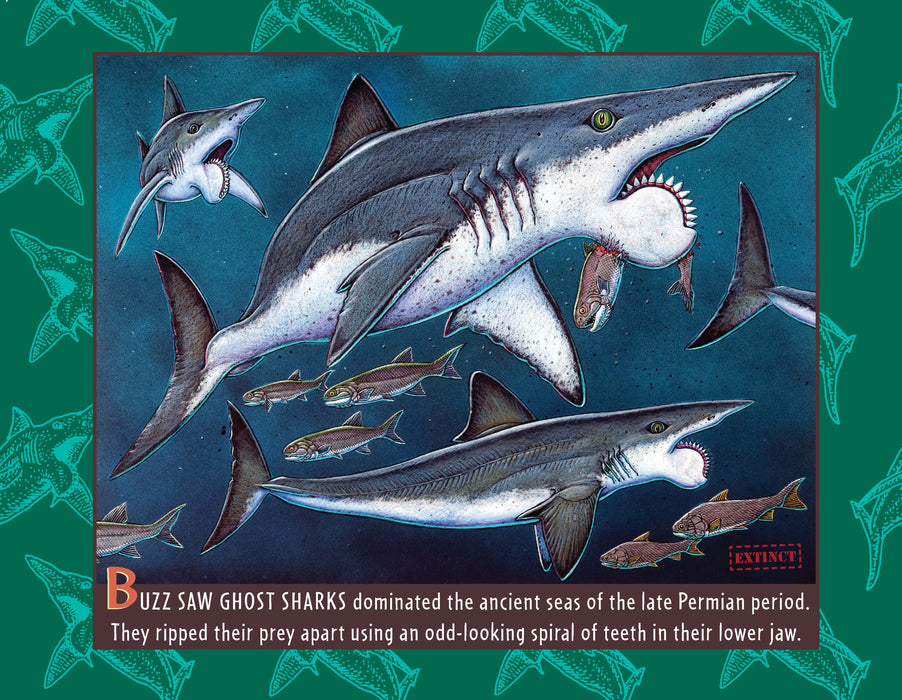 Sharkabet, 2nd Edition: A Sea of Sharks from A to Z
