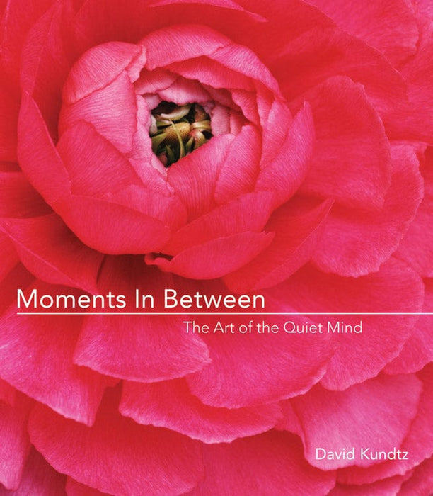 Moments in Between: The Art of the Quiet Mind