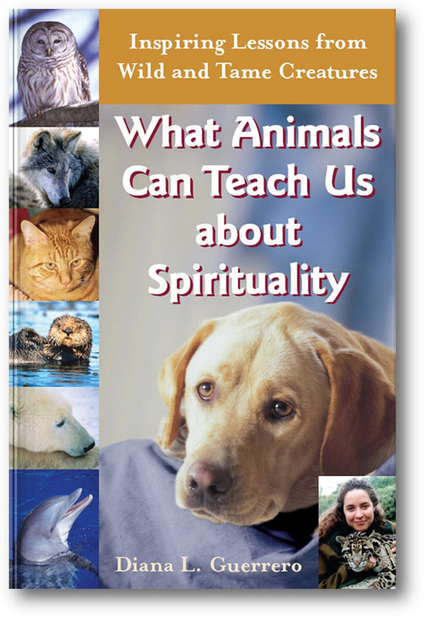 What Animals Can Teach Us About Spirituality: Inspiring Lessons from Wild and Tame Creatures book cover