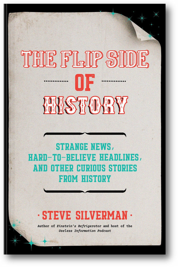 The Flip Side of History book cover