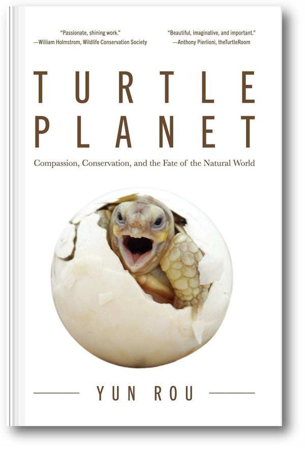 Turtle Planet book cover