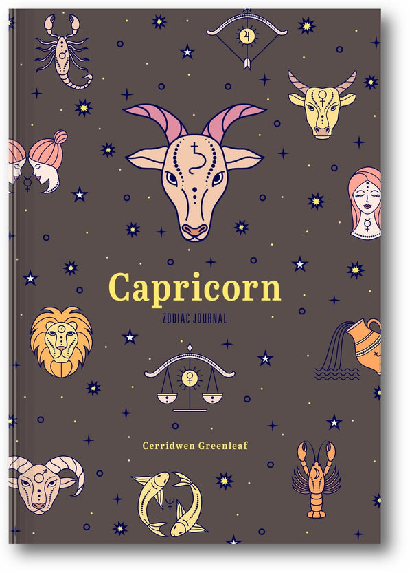 Capricorn Zodiac Journal book cover