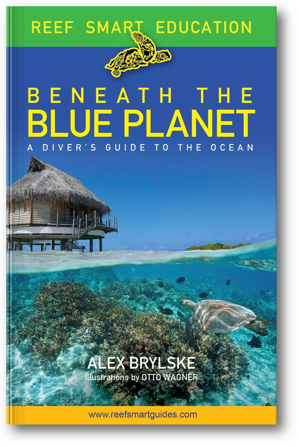 Reef Smart Guides Beneath the Blue Planet book cover