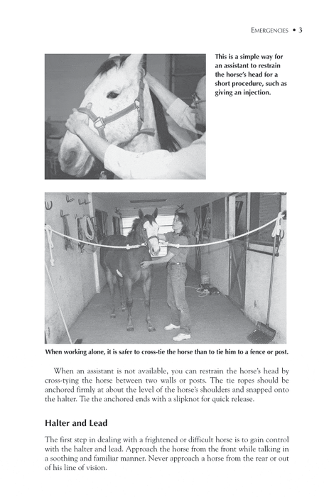 Horse Owner's Veterinary Handbook