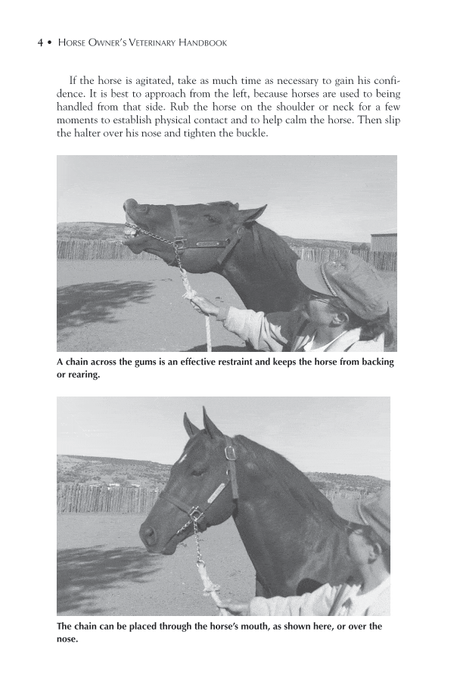 Horse Owner's Veterinary Handbook