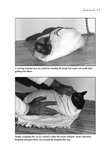Cat Owner's Home Veterinary Handbook, Fully Revised and Updated