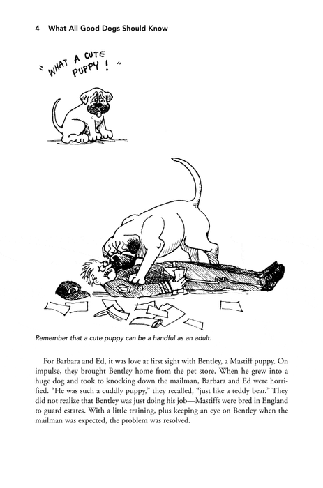 What All Good Dogs Should Know: The Sensible Way to Train