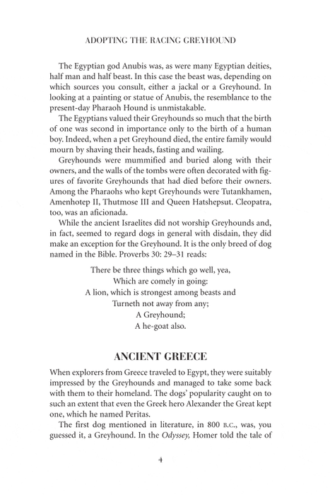 Adopting the Racing Greyhound