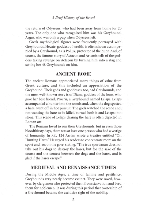 Adopting the Racing Greyhound