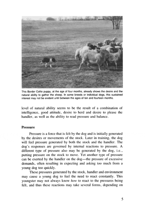 Herding Dogs: Progressive Training