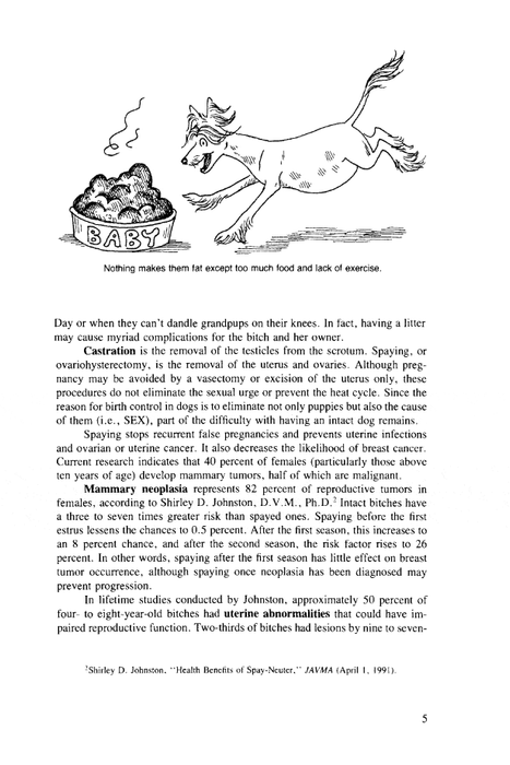 Successful Dog Breeding: The Complete Handbook of Canine Midwifery