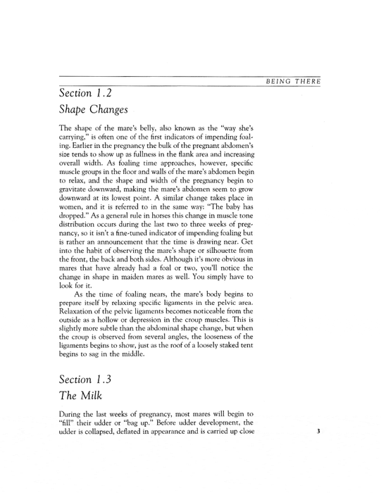 The Complete Book of Foaling
