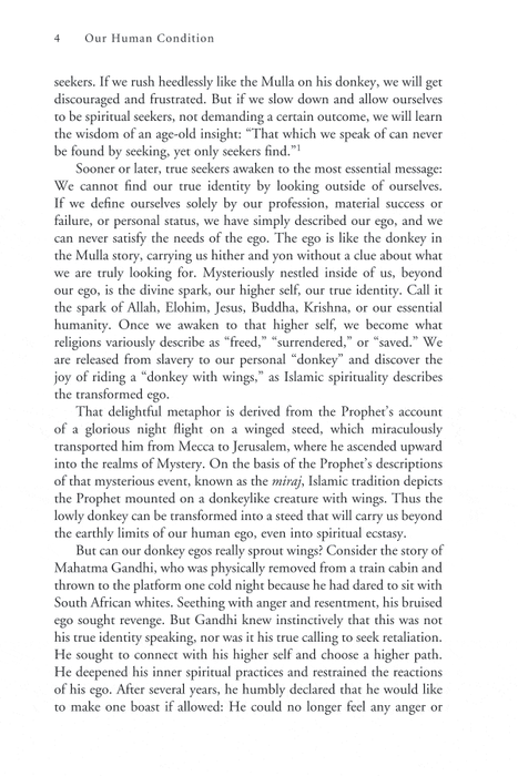 Sacred Laughter of the Sufis: Awakening the Soul with the Mulla's Comic Teaching Stories and Other Islamic Wisdom