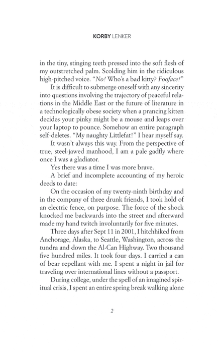 Medium Hero: And Other Stories