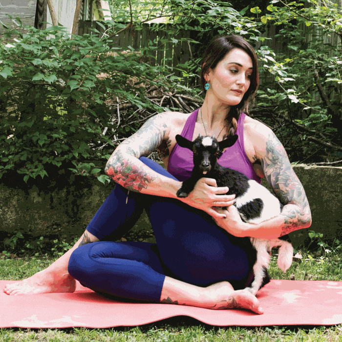Goat Yoga: The Light in Me Honors the Goat in You