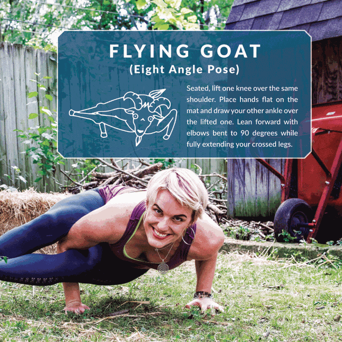 Goat Yoga: The Light in Me Honors the Goat in You