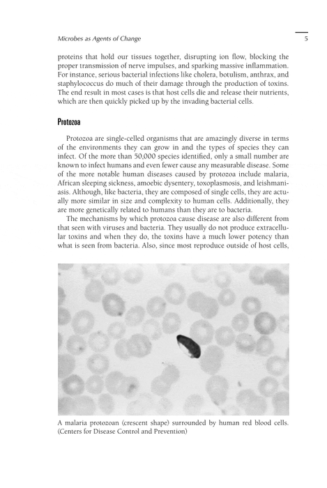 Epidemics: The Impact of Germs and Their Power over Humanity