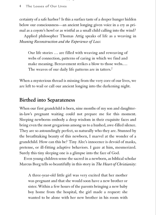 The Losses of Our Lives: The Sacred Gifts of Renewal in Everyday Loss