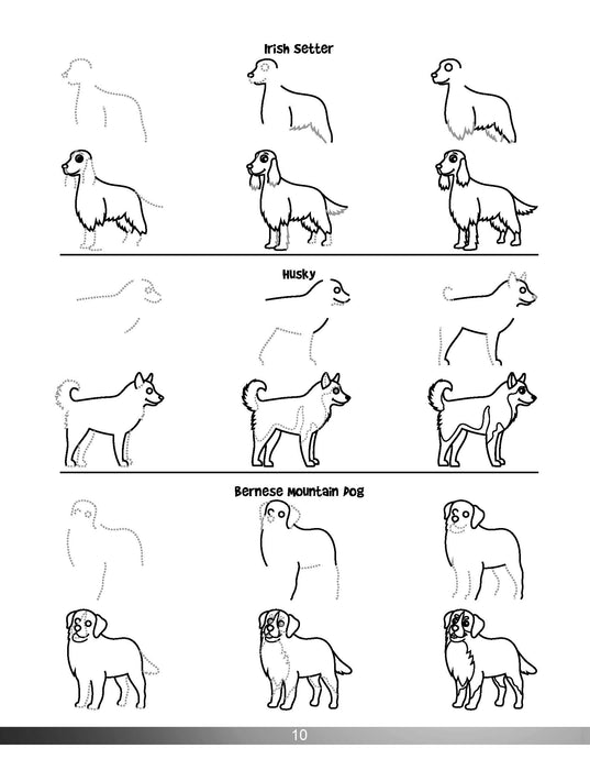 The Animal Drawing Book for Kids