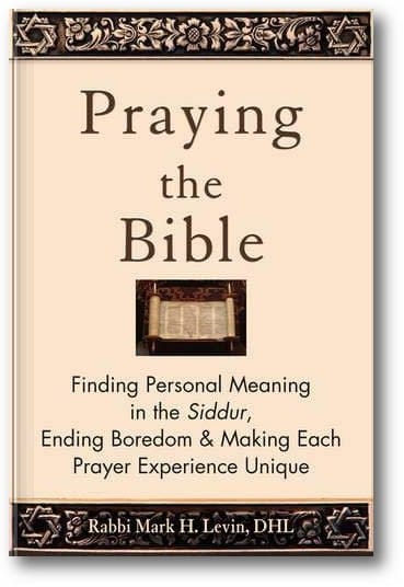 Praying the Bible: Finding Personal Meaning in the Siddur, Ending Boredom & Making Each Prayer Experience Unique book cover