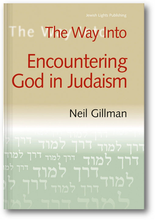The Way Into Encountering God In Judaism book cover