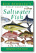 Ken Schultz's Field Guide to Saltwater Fish book cover