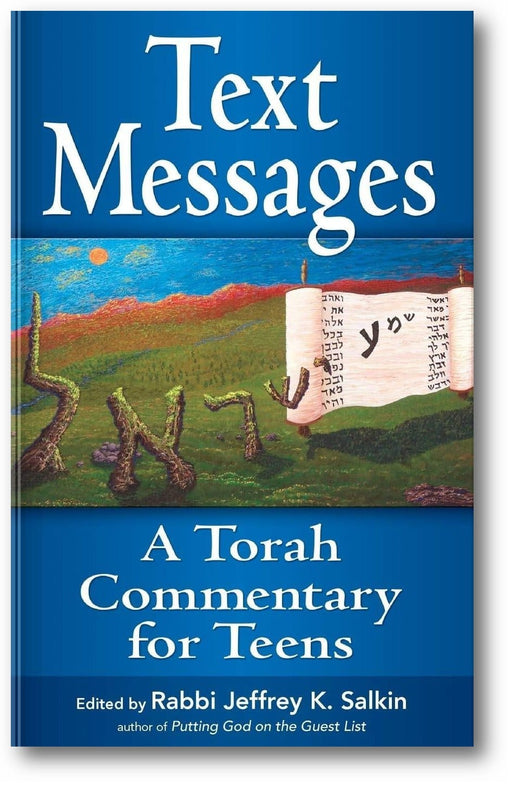 Text Messages: A Torah Commentary for Teens book cover