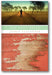 Our Daily Bread book cover