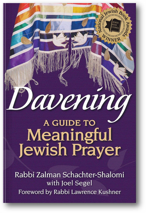 Davening: A Guide to Meaningful Jewish Prayer book cover