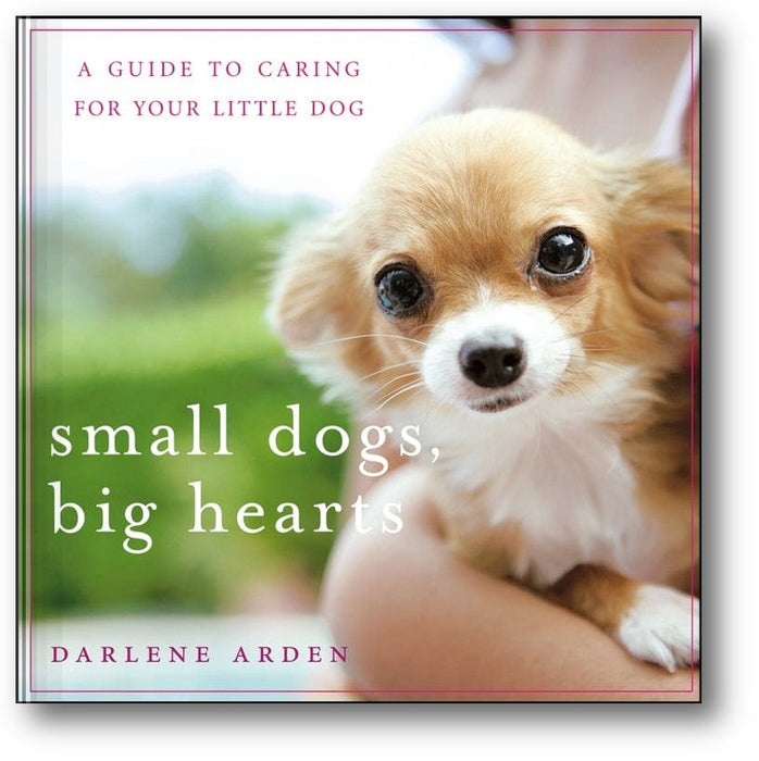 Small Dogs, Big Hearts: A Guide to Caring for Your Little Dog book cover