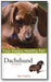 Dachshund: Your Happy Healthy Pet (2nd Edition) book cover