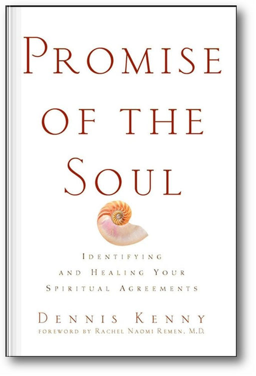 Promise of the Soul: Identifying and Healing Your Spiritual Agreements book cover