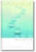 Zen Miracles: Finding Peace in an Insane World book cover