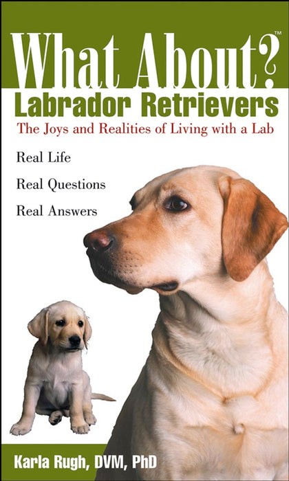 What About Labrador Retrievers: The Joy and Realities of Living with a Lab