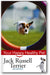 Jack Russell Terrier: Your Happy Healthy Pet book cover