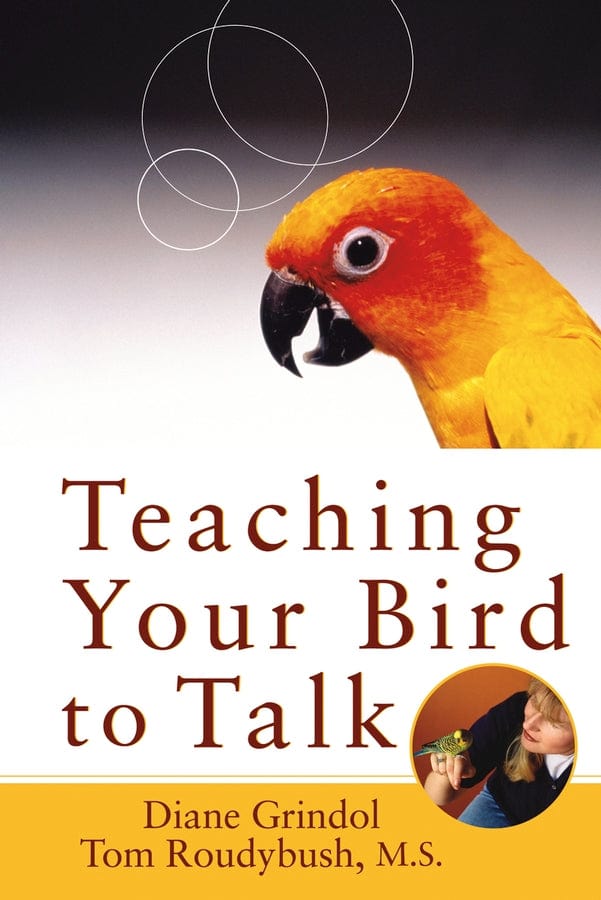 Teaching Your Bird To Talk
