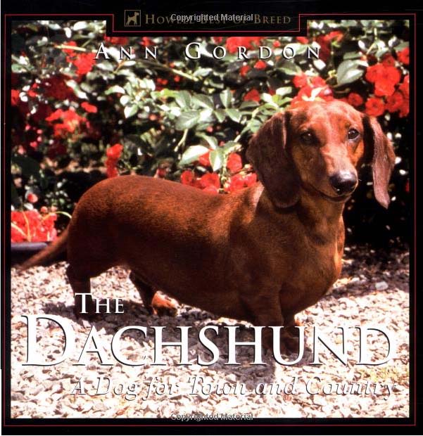 The Dachshund: A Dog For Town and Country