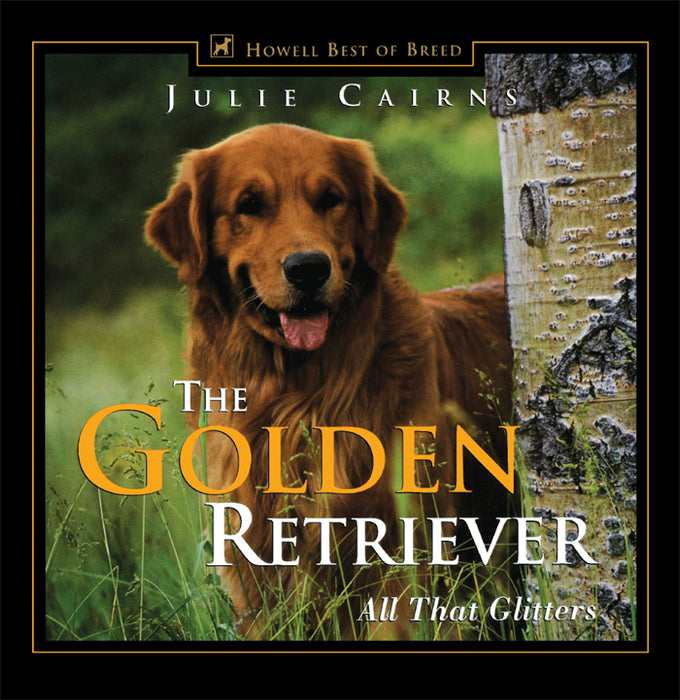 The Golden Retriever: All That Glitters