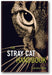 The Stray Cat Handbook book cover