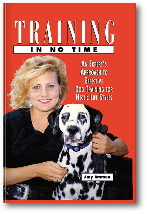 Training in No Time book cover
