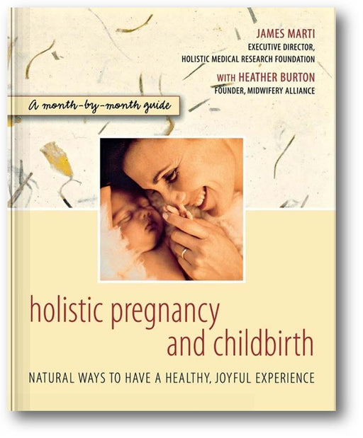 Holistic Pregnancy and Childbirth book cover