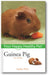 Guinea Pig: Your Happy Healthy Pet book cover