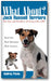 What About Jack Russell Terriers: The Joys and Realities of Living with a JRT book cover