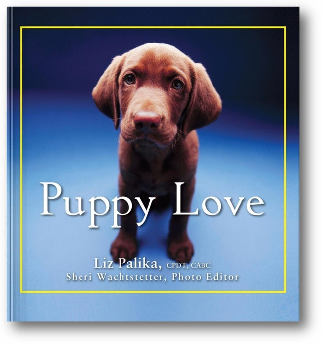 Puppy Love book cover