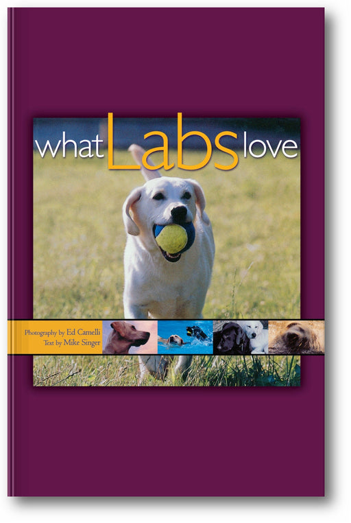 What Labs Love book cover