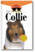 Collie: An Owner's Guide to a Happy Healthy Pet book cover